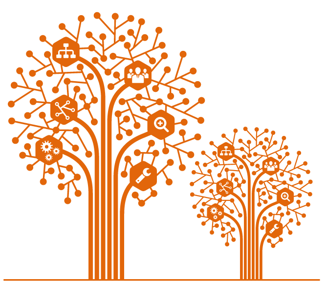 NEW ISN Website launched. Look for the Orange Trees!